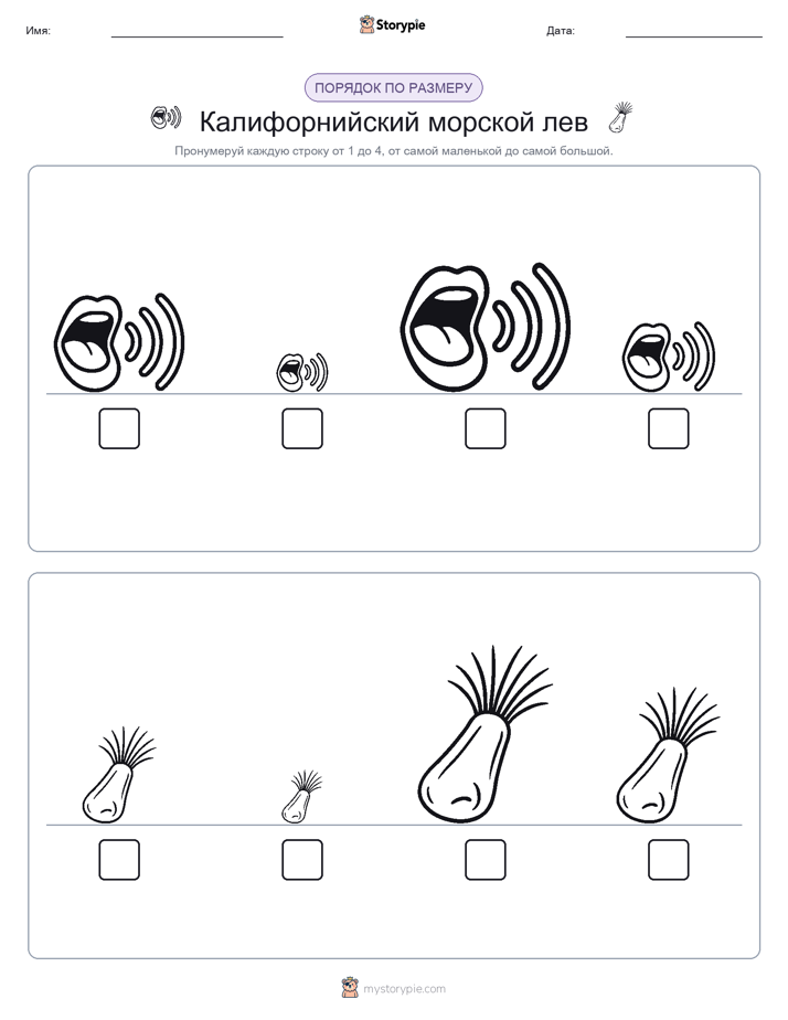 Размеры в порядке
