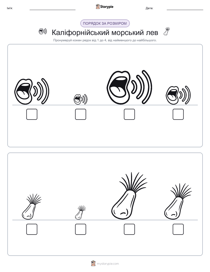 Порядок Розміру