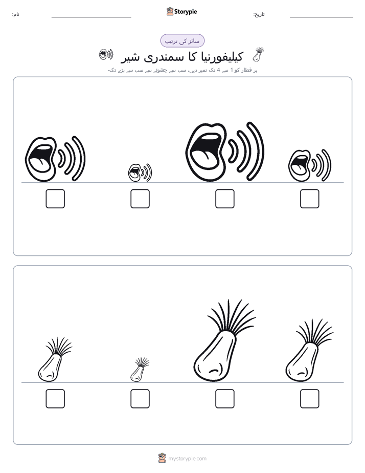 سائز کی ترتیب