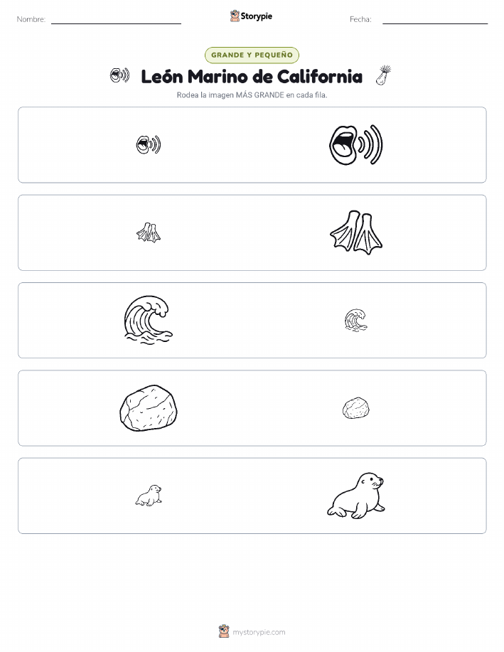Clasificación