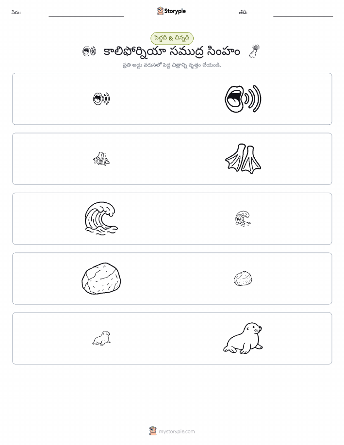 వర్గీకరణ