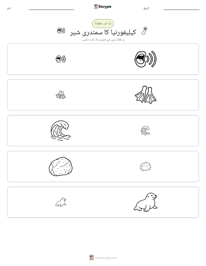ترتیب دینا