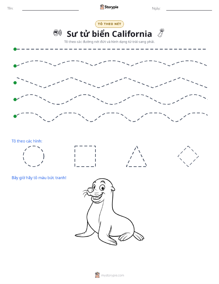 Vẽ Theo Đường