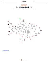 Whale Shark printable worksheet preview