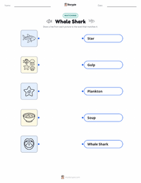 Whale Shark printable worksheet for kids