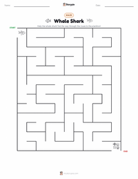 Whale Shark printable worksheet preview