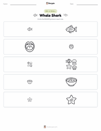 Whale Shark printable worksheet preview