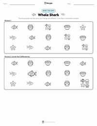 Whale Shark printable worksheet preview