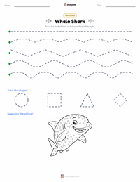 Whale Shark printable worksheet preview