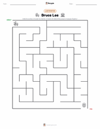 Aperçu de la feuille de travail imprimable Bruce Lee