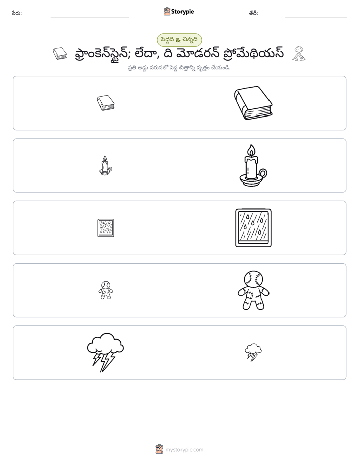 వర్గీకరణ