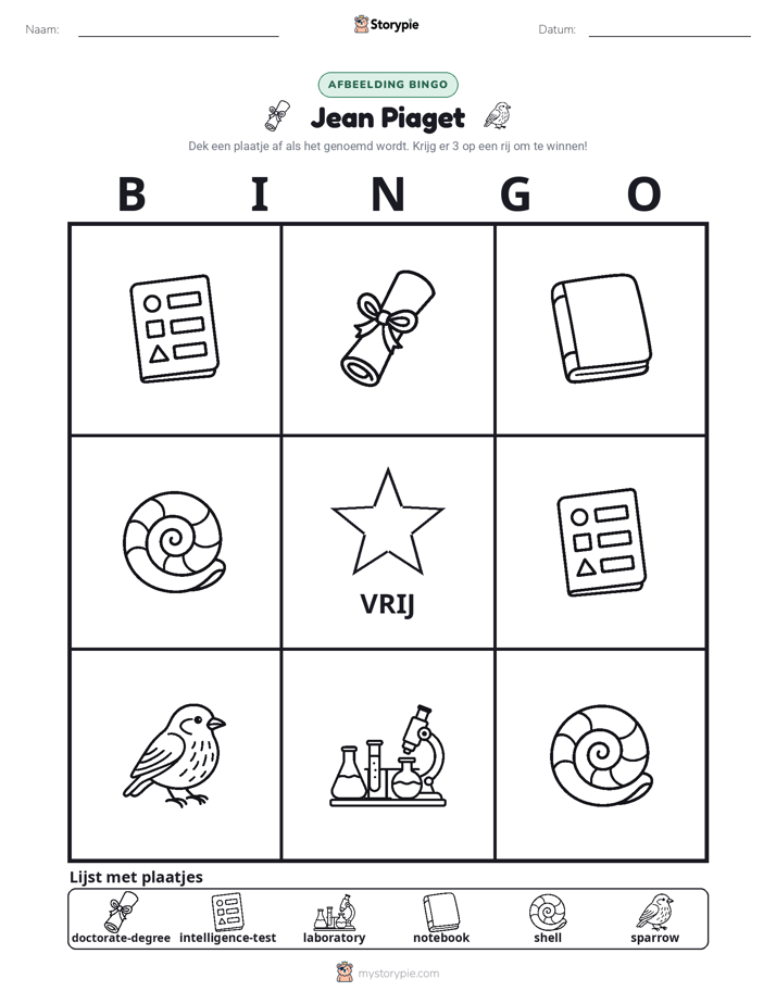 Afbeelding Bingo