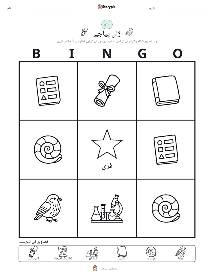 تصویری بنگو