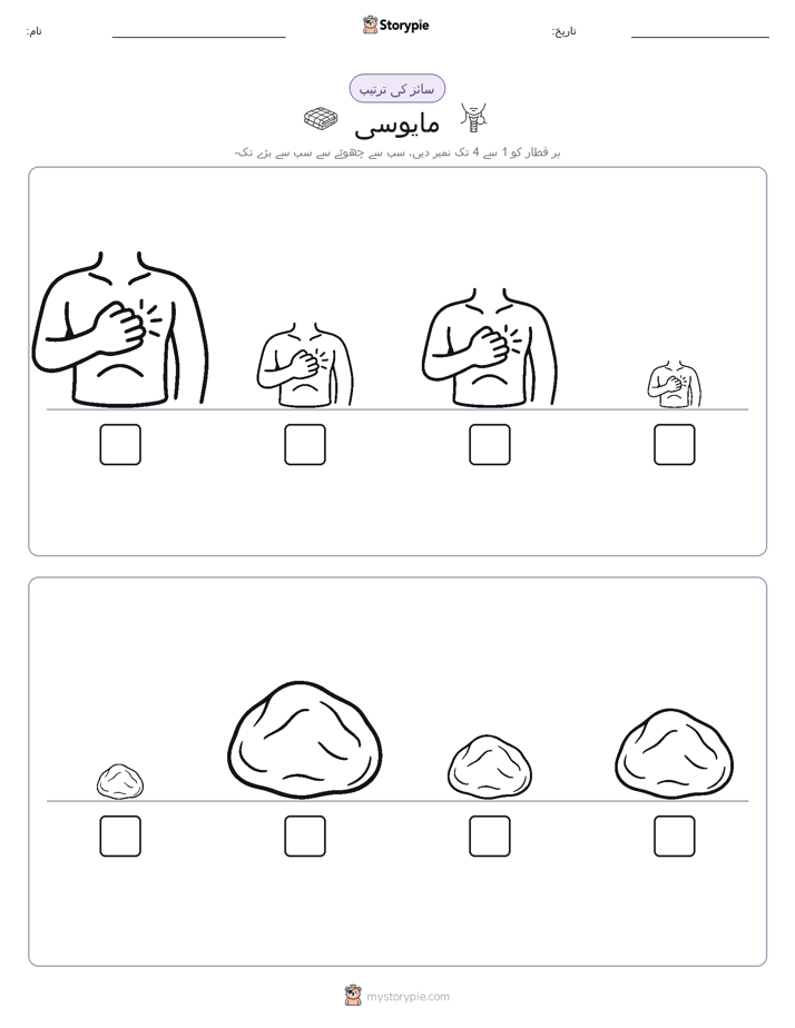 سائز کی ترتیب