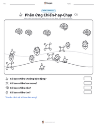 Xem trước tài liệu in sẵn Phản ứng Chiến-hay-Chạy