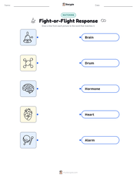 Fight-or-Flight Response printable worksheet preview