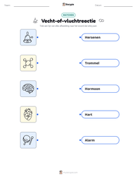 Vecht-of-vluchtreactie afdrukbare werkblad voorbeeld