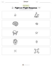Fight-or-Flight Response printable worksheet preview