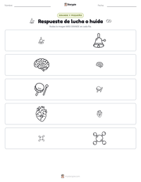 Vista previa de la hoja de trabajo imprimible de Respuesta de lucha o huida