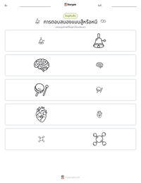 การตอบสนองแบบสู้หรือหนี ตัวอย่างแบบฝึกหัดที่พิมพ์ได้