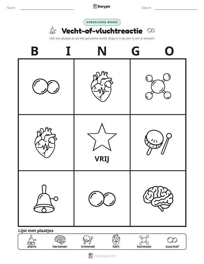 Afbeelding Bingo