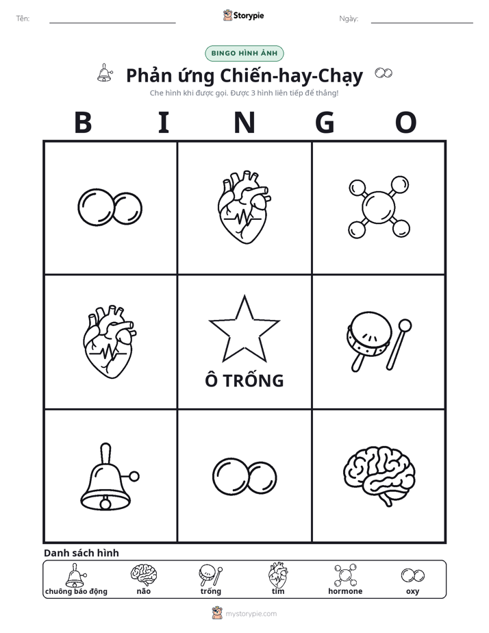 Bingo Hình Ảnh