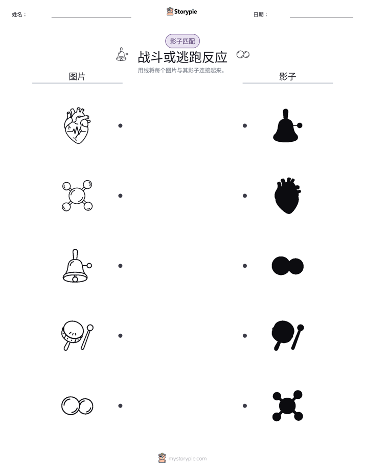 影子匹配