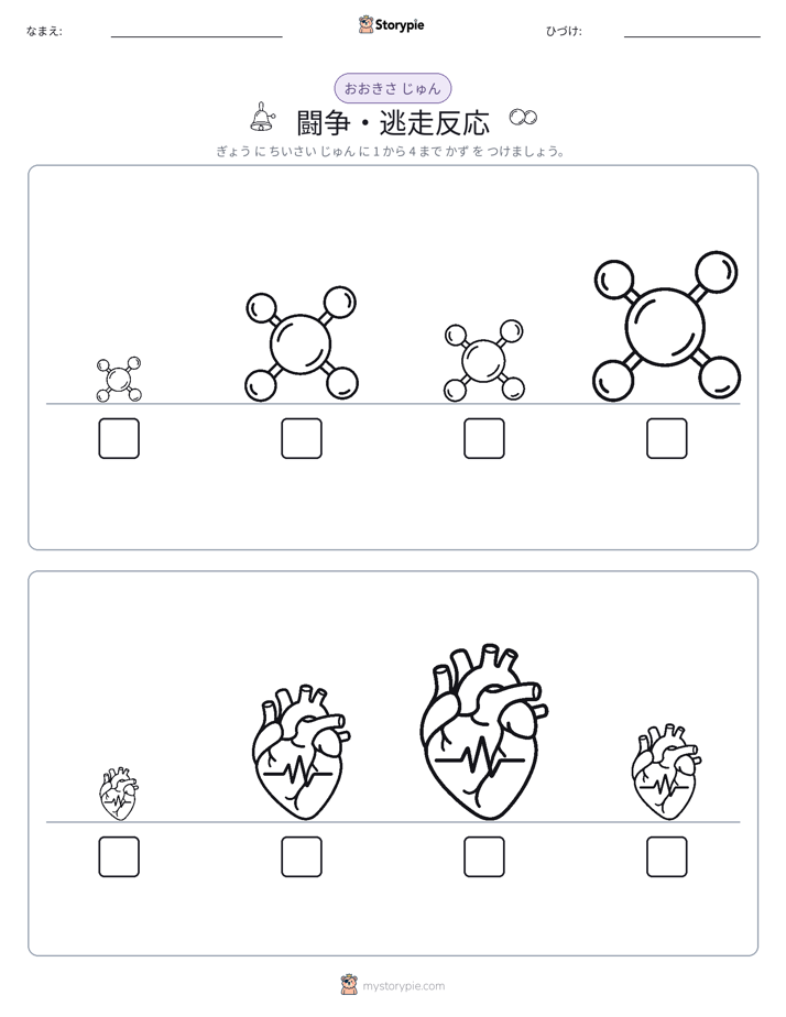サイズ順