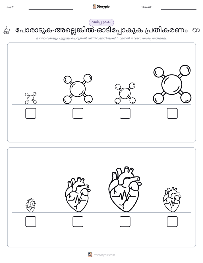 വലുപ്പം ക്രമം
