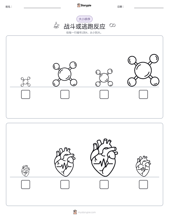 大小排序