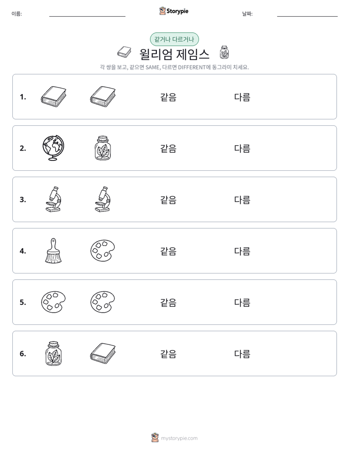 같은 것 또는 다른 것