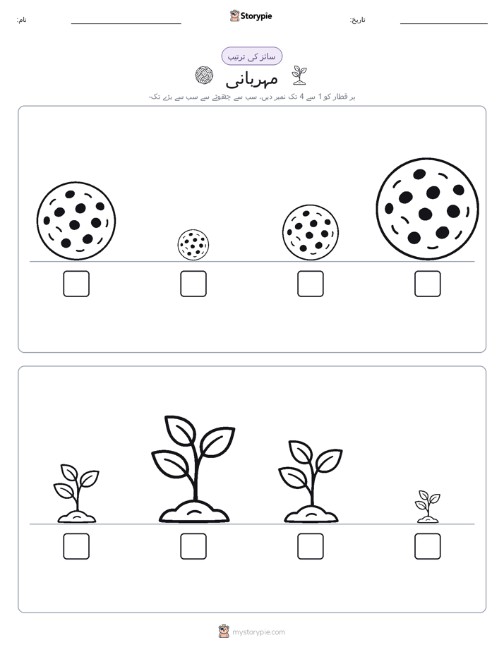 سائز کی ترتیب