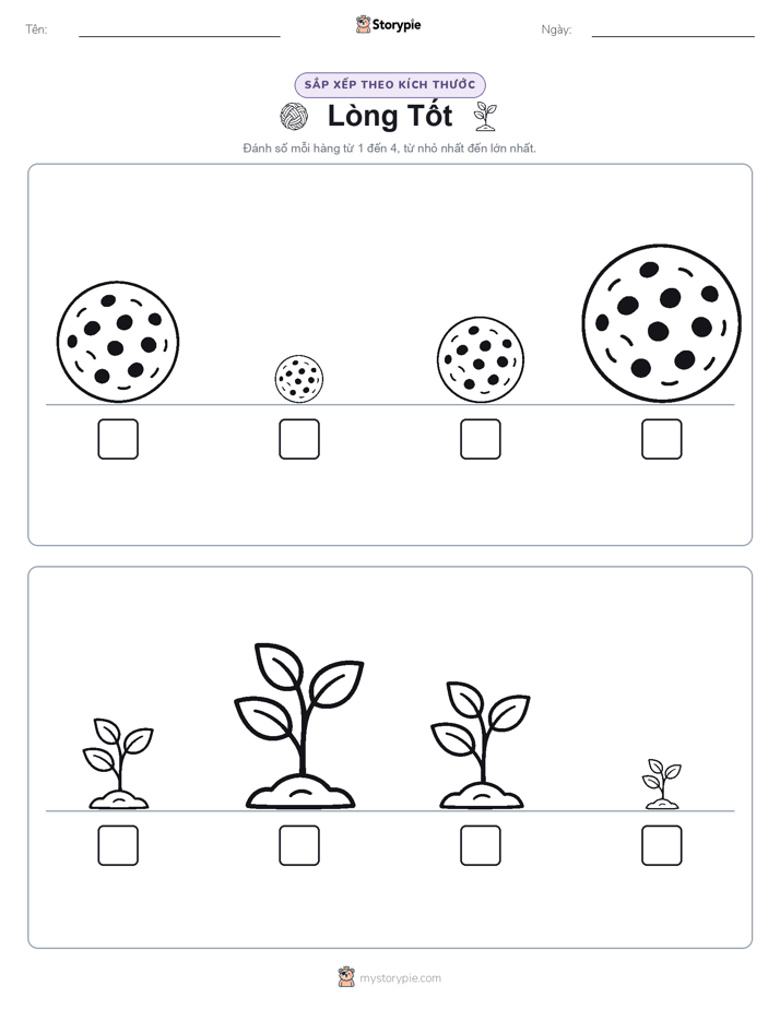 Thứ Tự Kích Thước