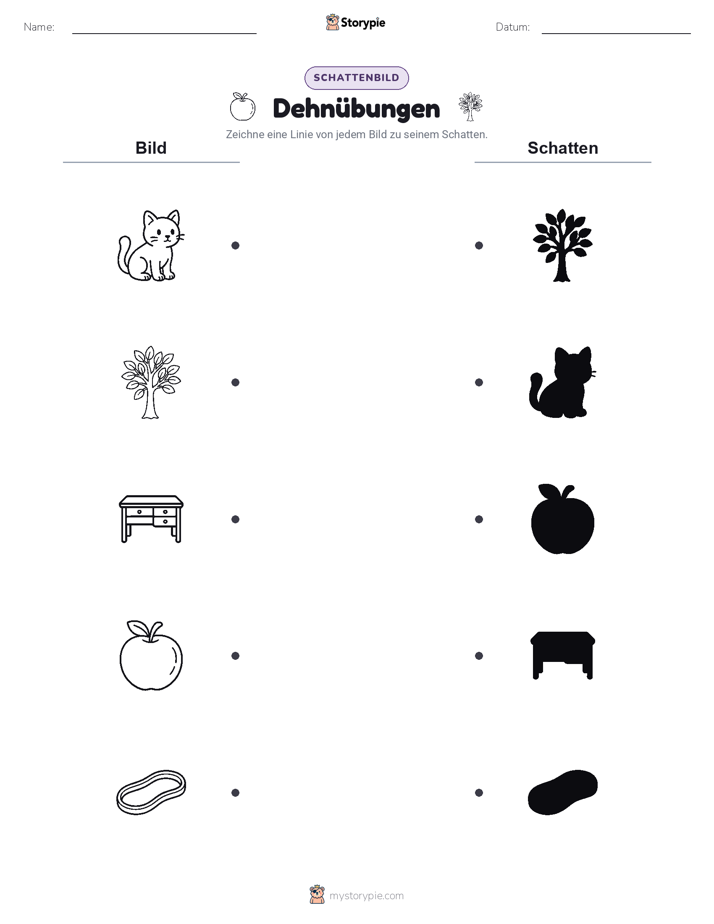 Schattenmatch