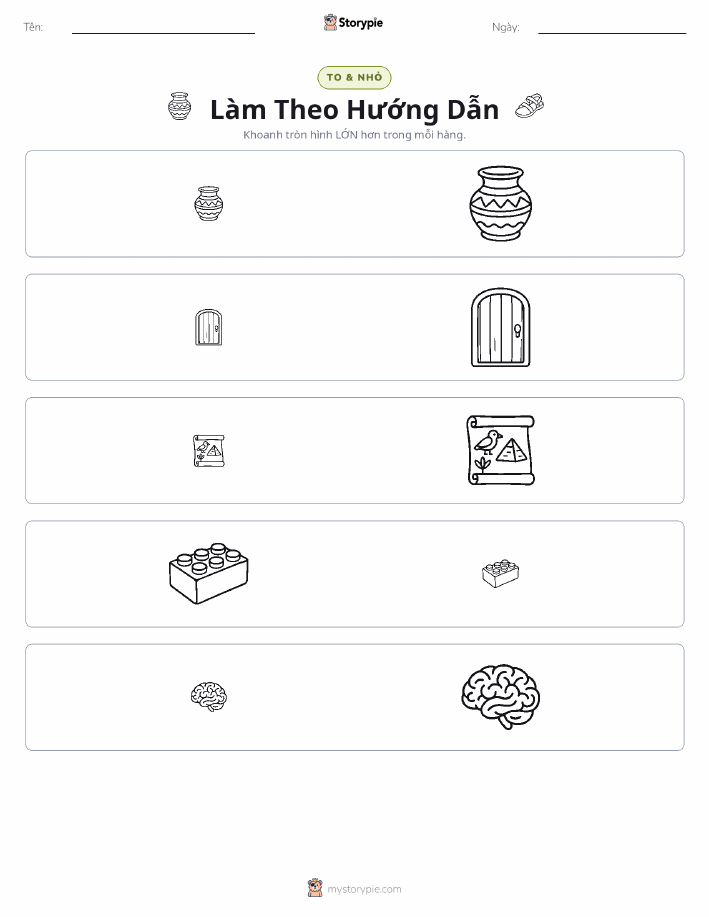 Phân Loại