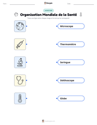 Aperçu de la feuille de travail imprimable Organisation Mondiale de la Santé