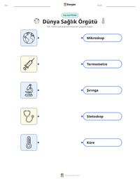 Dünya Sağlık Örgütü yazdırılabilir çalışma sayfası önizlemesi