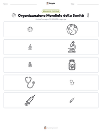 Anteprima della scheda stampabile di Organizzazione Mondiale della Sanità