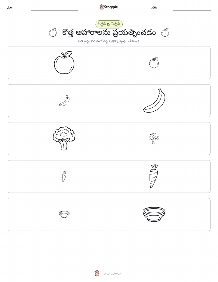 వర్గీకరణ