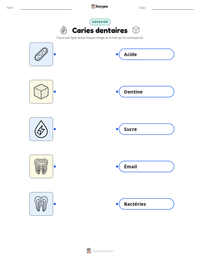 Aperçu de la feuille de travail imprimable Caries dentaires