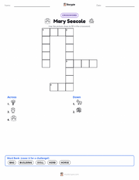 Mary Seacole printable worksheet preview