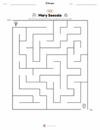 Mary Seacole printable worksheet preview