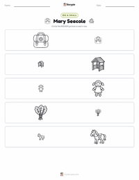Mary Seacole printable worksheet preview