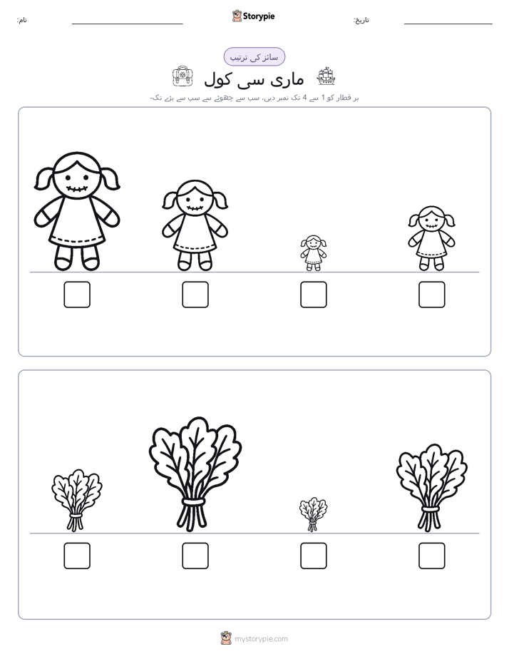 سائز کی ترتیب