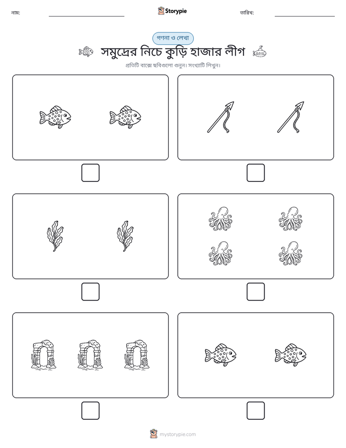গণনা & লিখুন