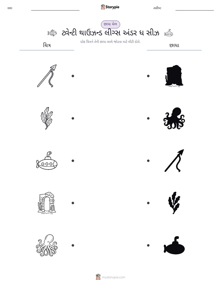 શેડો મેચ