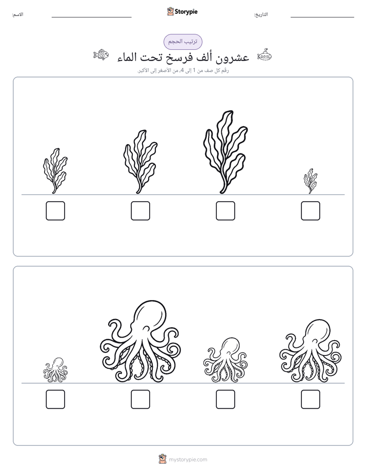 ترتيب الحجم