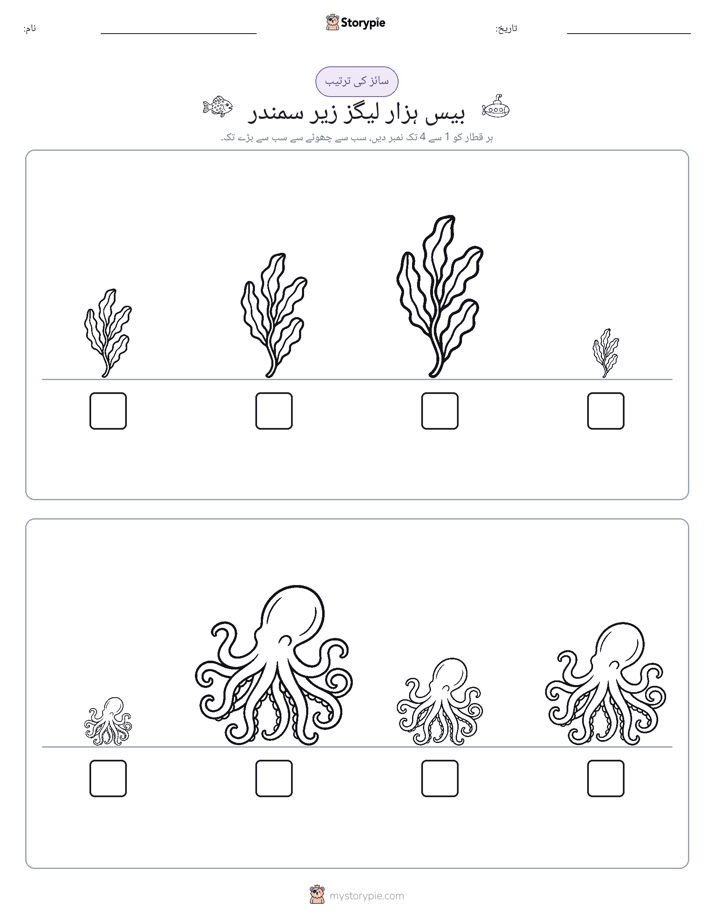 سائز کی ترتیب