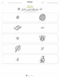 سانتیاگو رامون ای کاہال پرنٹ کرنے کے قابل ورکشیٹ کا پیش نظارہ