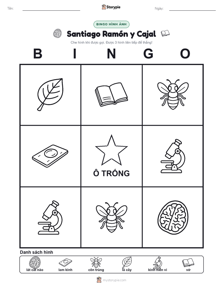 Bingo Hình Ảnh